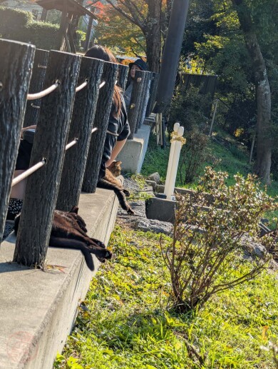 哲学の道, Tetsugaku no michi