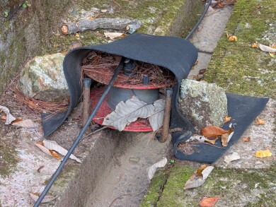 毘沙門堂, Bishamondó