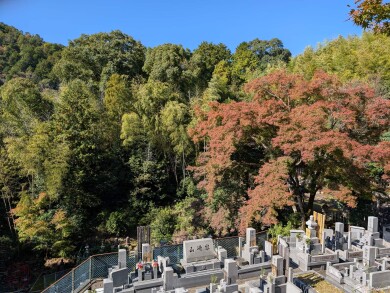 毘沙門堂, Bishamondó