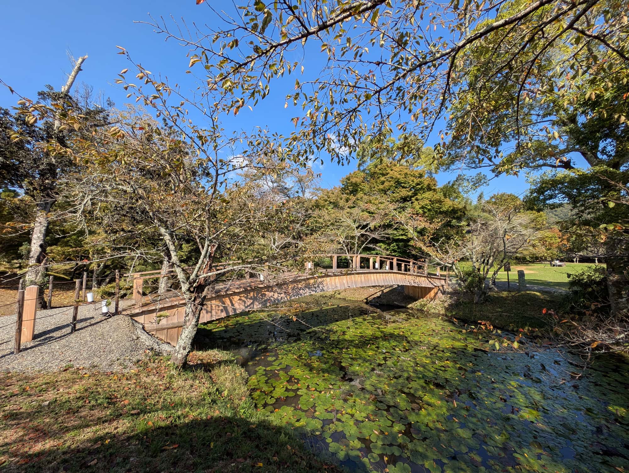 Daikaku-ji