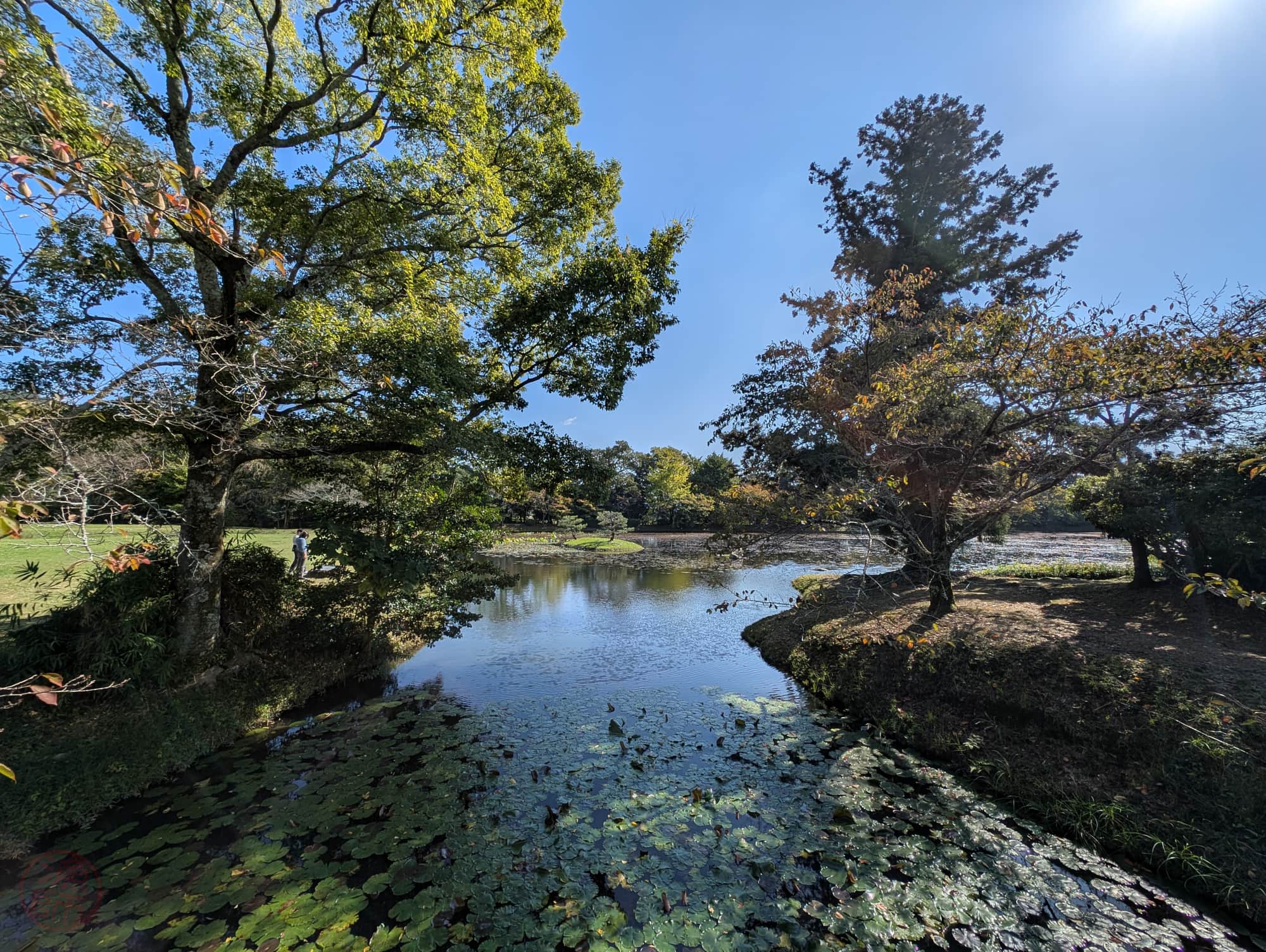 Daikaku-ji