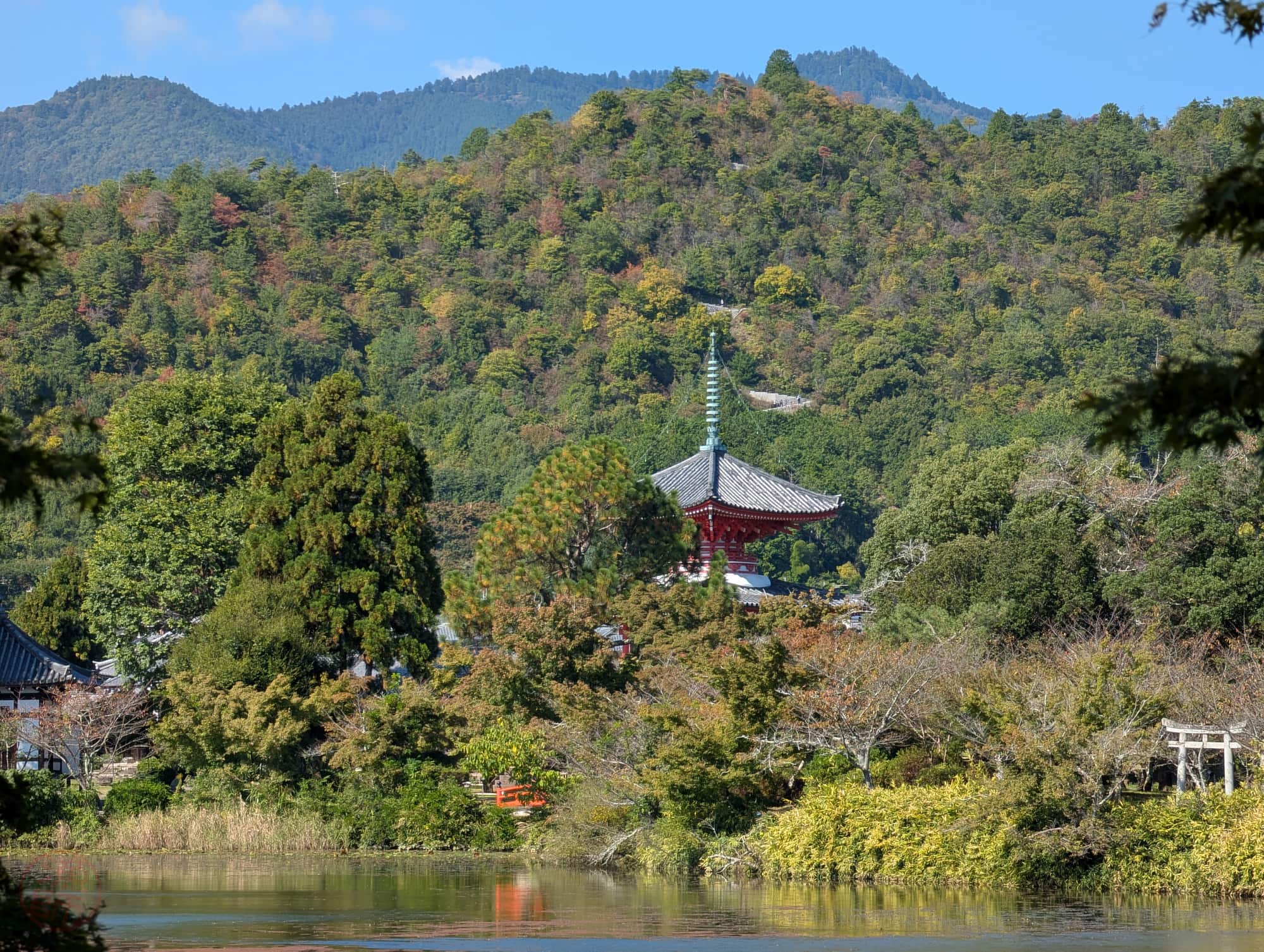 Daikaku-jia