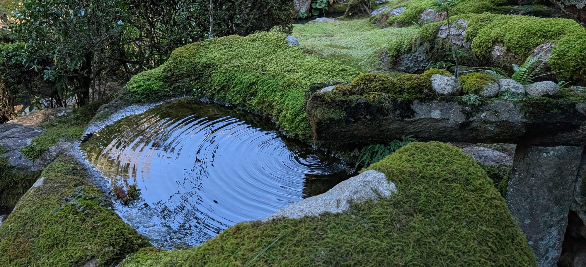 Tenju-an, 天授庵