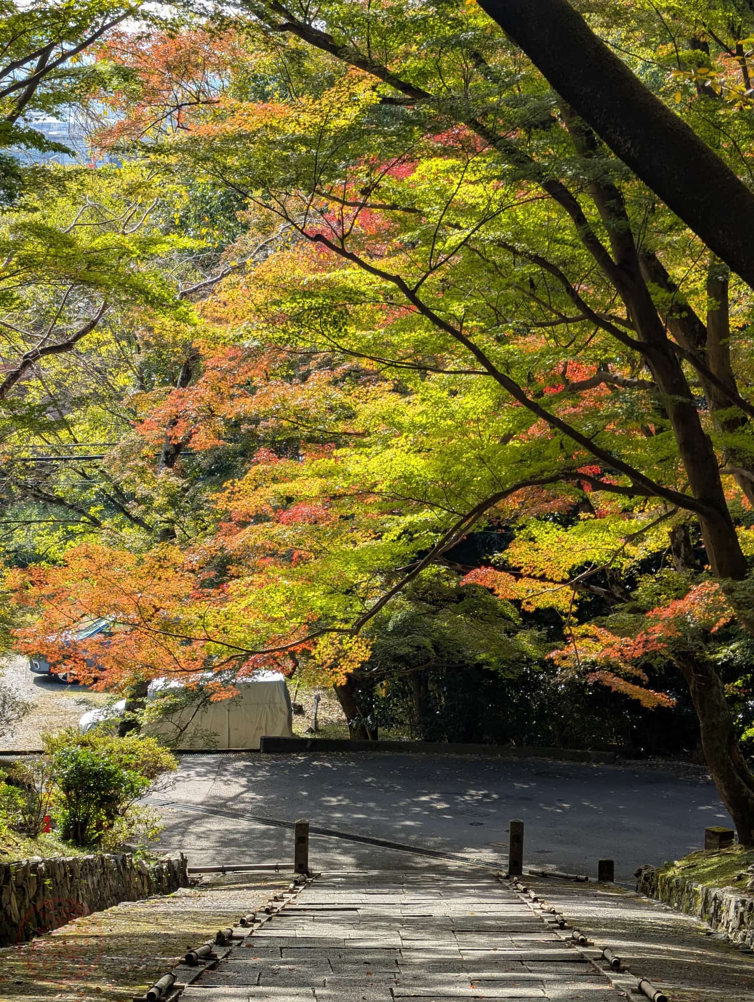 毘沙門堂, Bishamondó