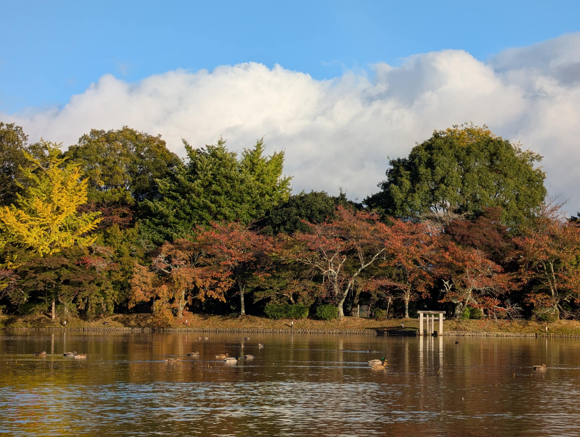 大沢池/Oszava tó