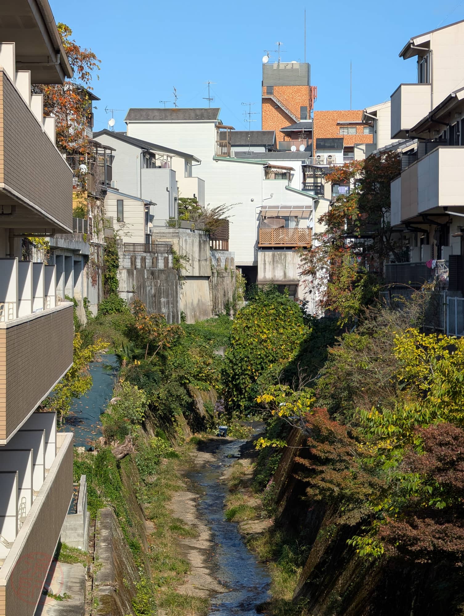 北野天満宮