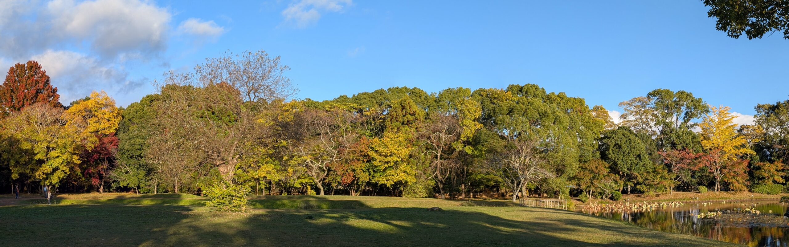 大沢 (Oszava) tó mellett