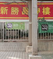 PXL_20260108_063754899 - PXL_20260108_063756563