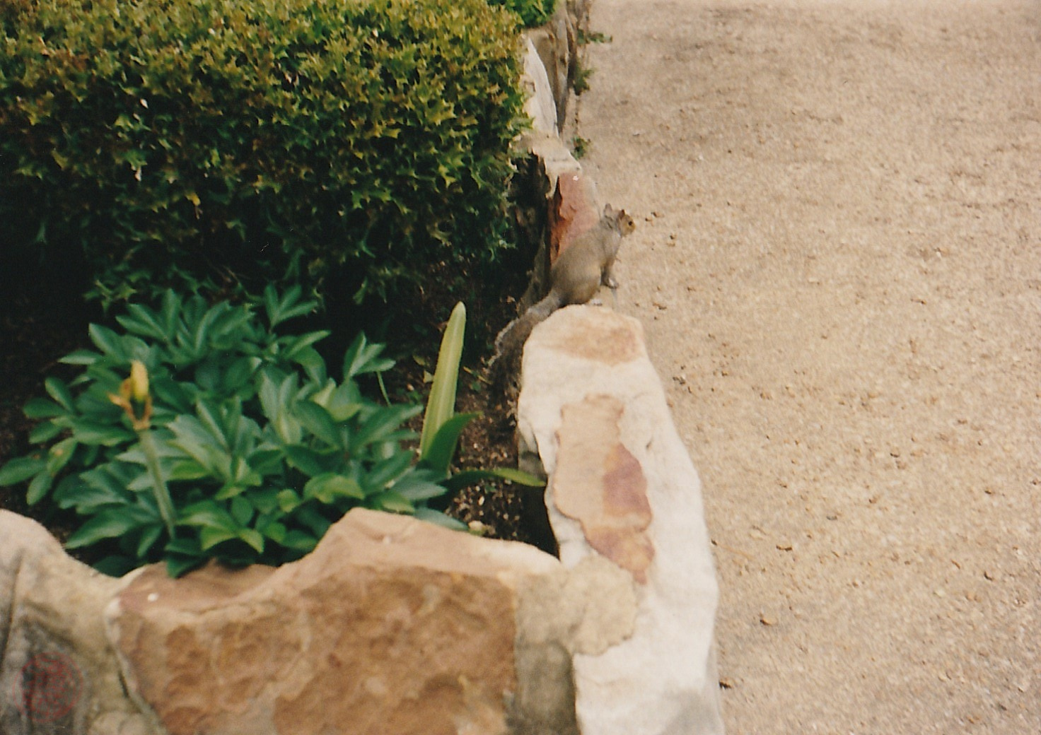 Noccalula Falls Park, 1999